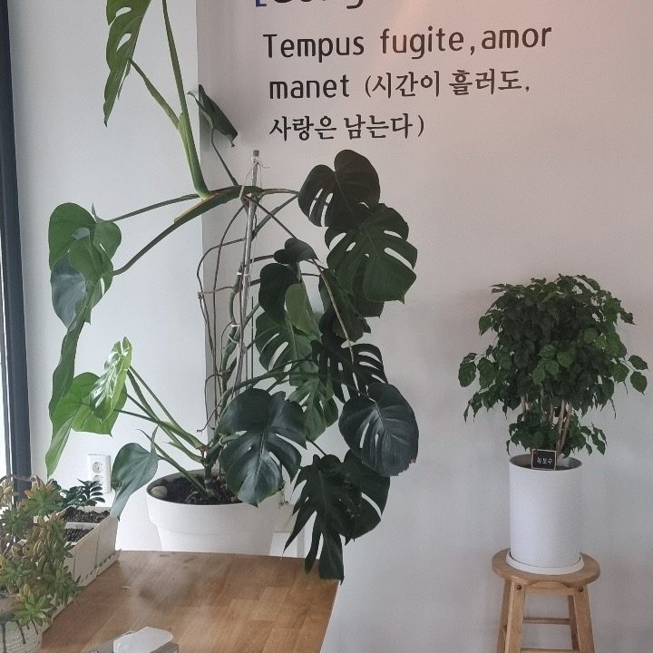 공감카페