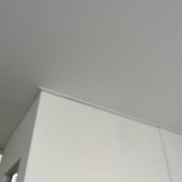 청년도배