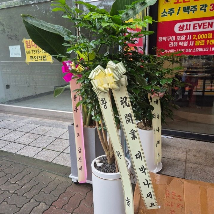 금촌 참나무 일품장작