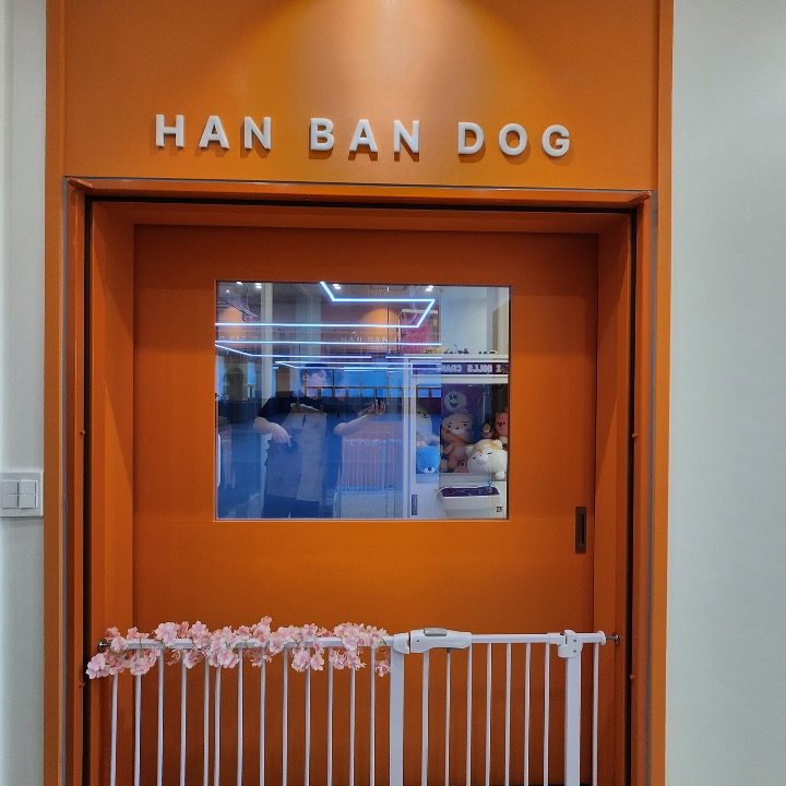 한반독 애견유치원