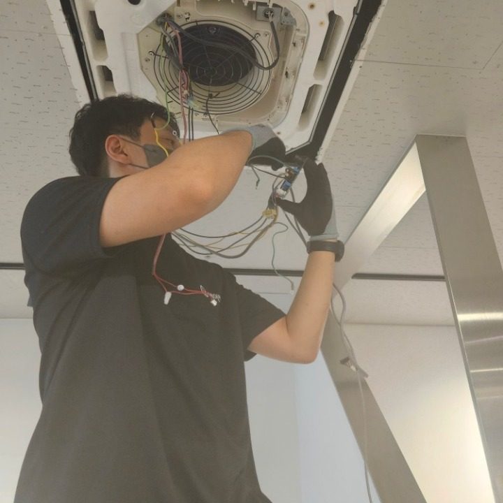 청소의결과