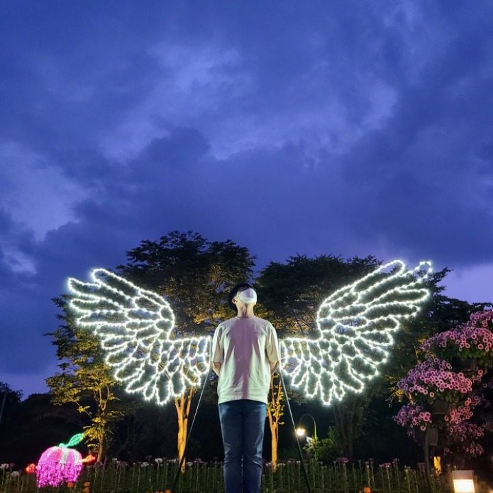 라파엘타로