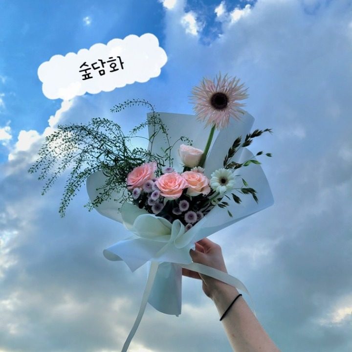 숲담화