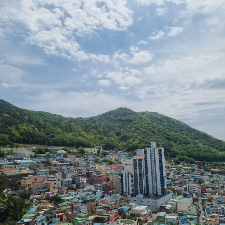 아이브 포카