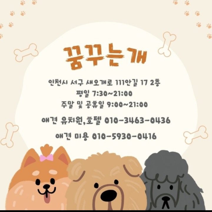 꿈꾸는개