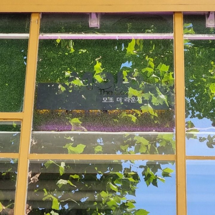 모조더라운지