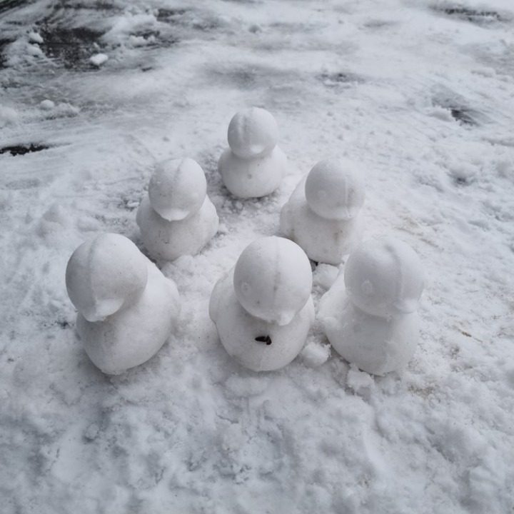 보배반점보령점