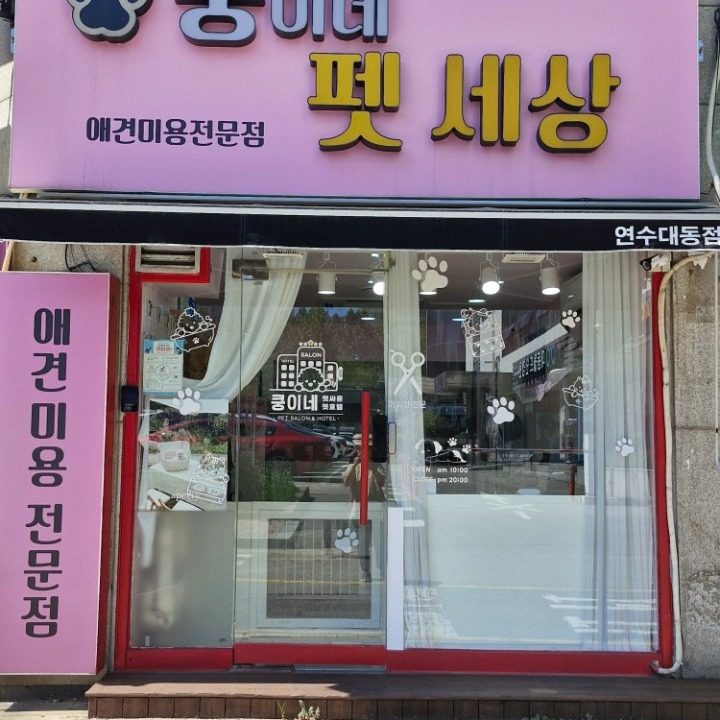 쿵이네펫세상