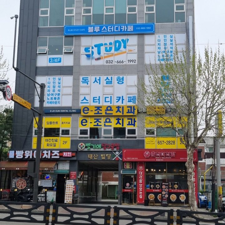 블루 스터디카페