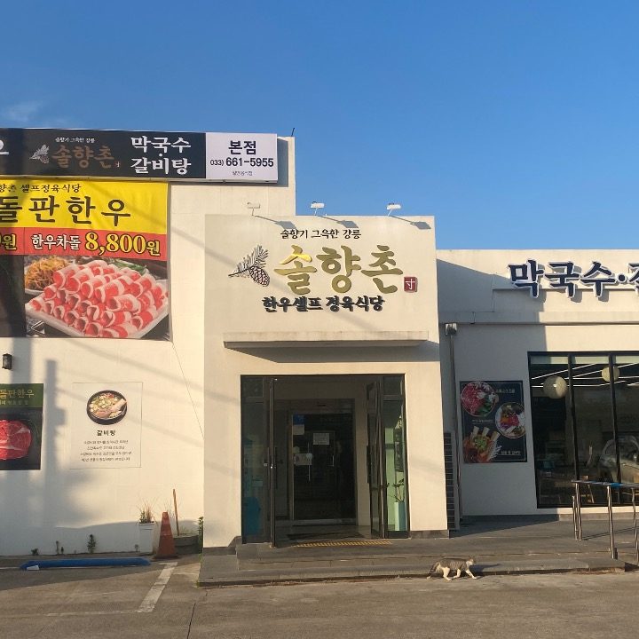 솔향촌