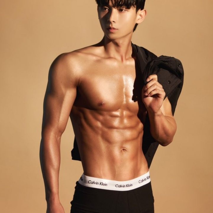 카이 트레이너