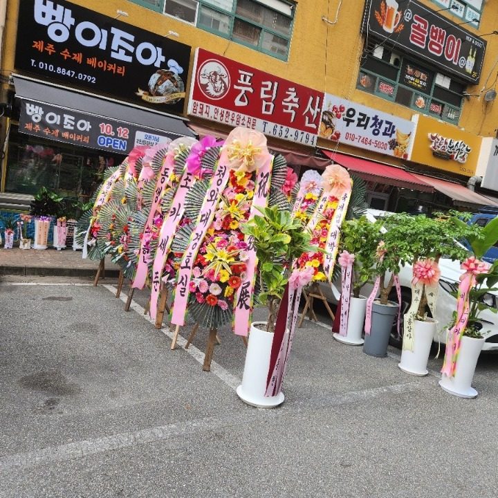 빵이조아