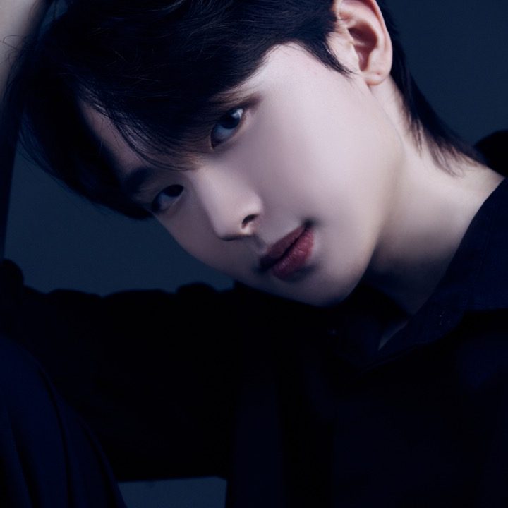 이철헤어커커 혜성