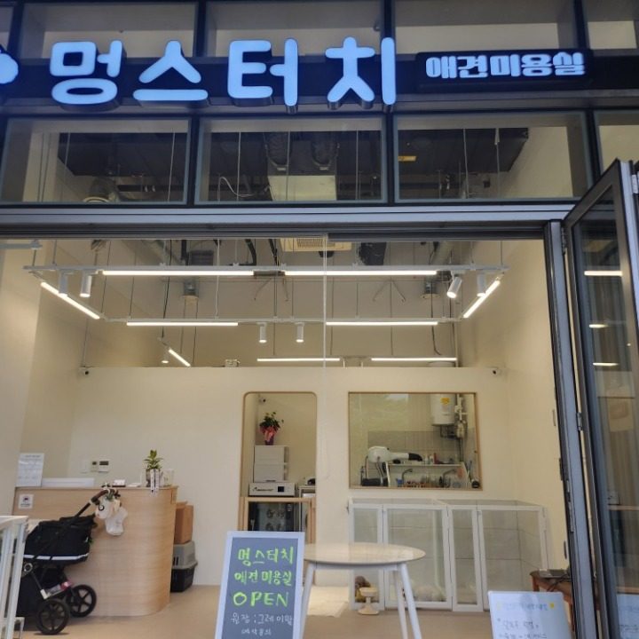 멍스터치