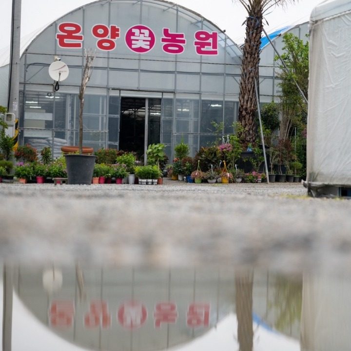 온양꽃농원