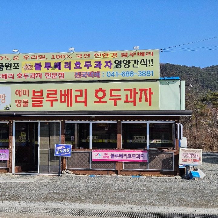 원조블루베리호두과자