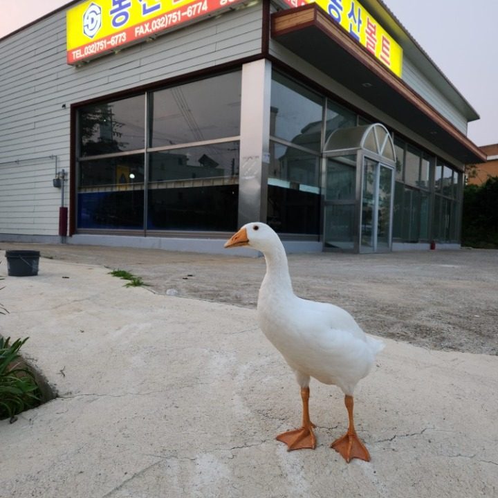 동산볼트 영종도