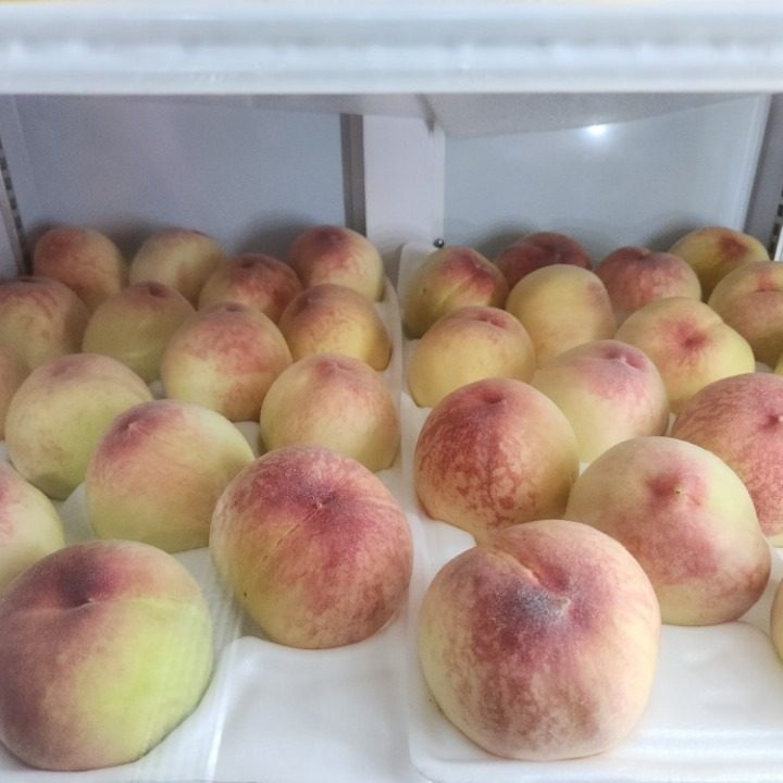 삼과일 역삼직영점