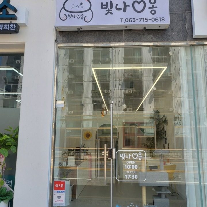 빛나옹