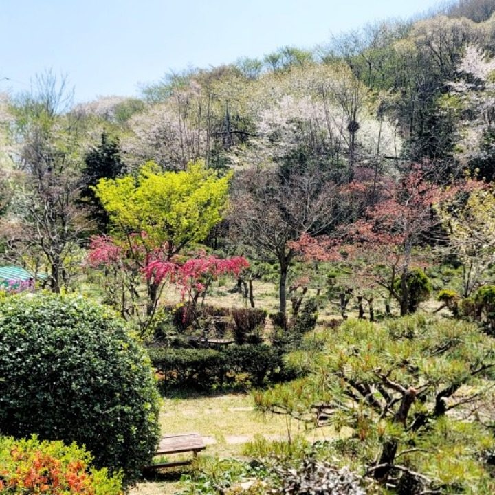 임마농원
