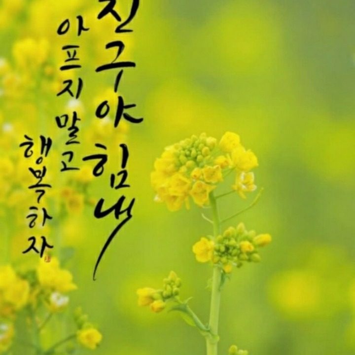 숙이네