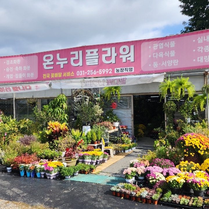 온누리플라워