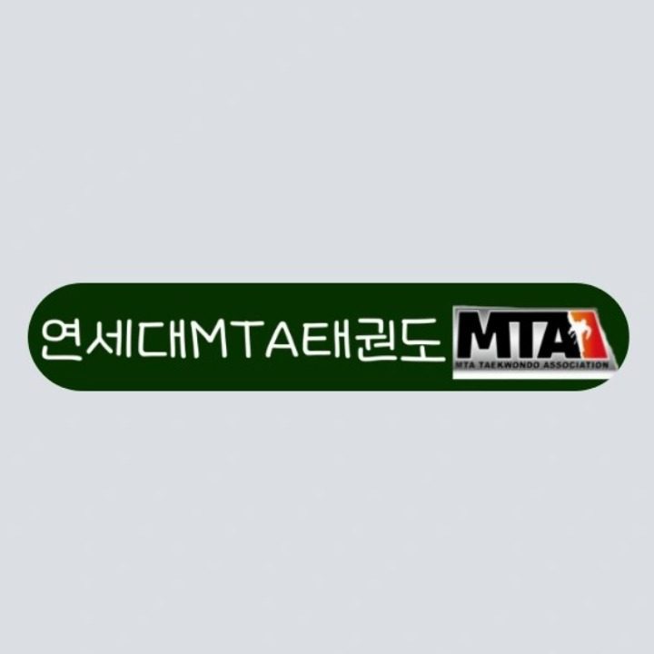 연세대mta태권도