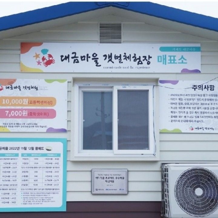 매미성갯벌체험