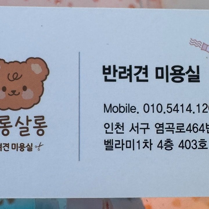 마롱살롱 반려견미용실