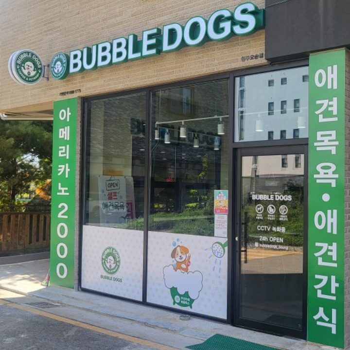 버블독스 청주오송점