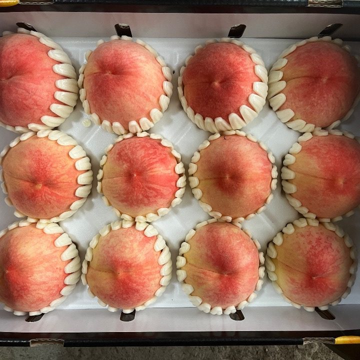 달달라이프