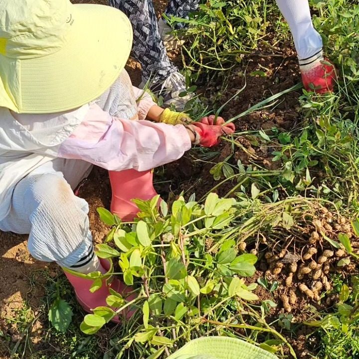 일산 송산농장