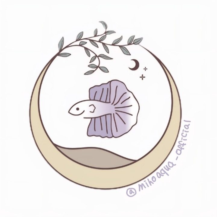 미호베타MIHO BETTA