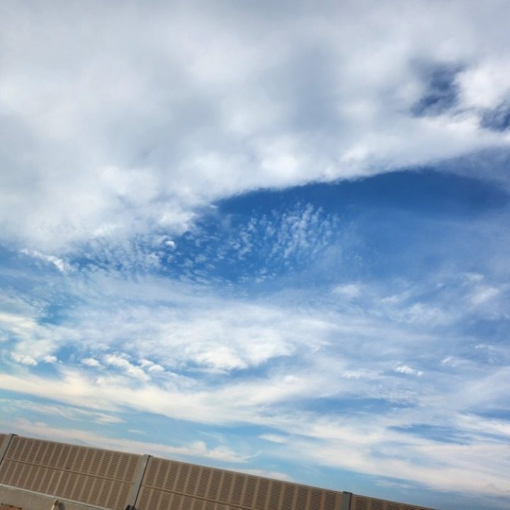 당근은행
