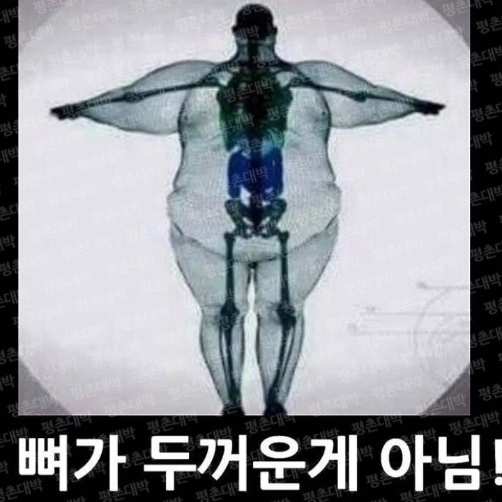포일점핑&체온 다이어트