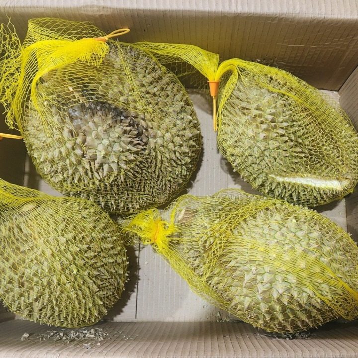 천연영양제 두리안
