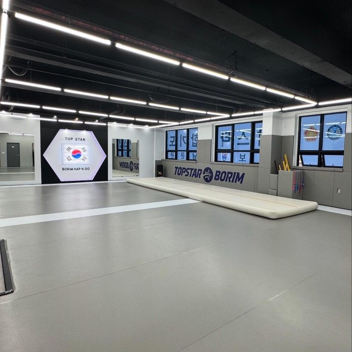 탑스타보림합기도