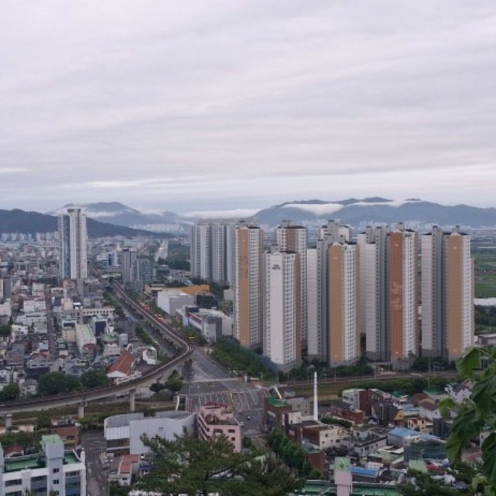 운전교섭