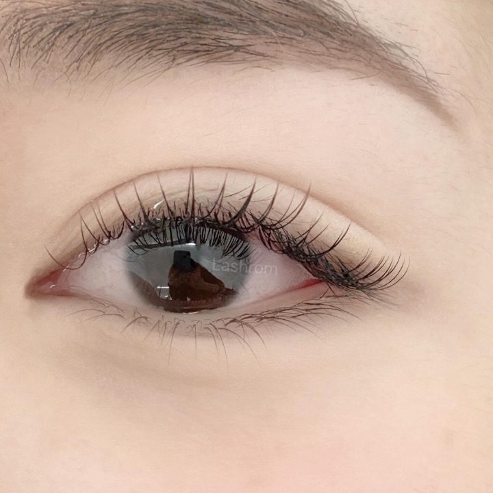 래쉬롬