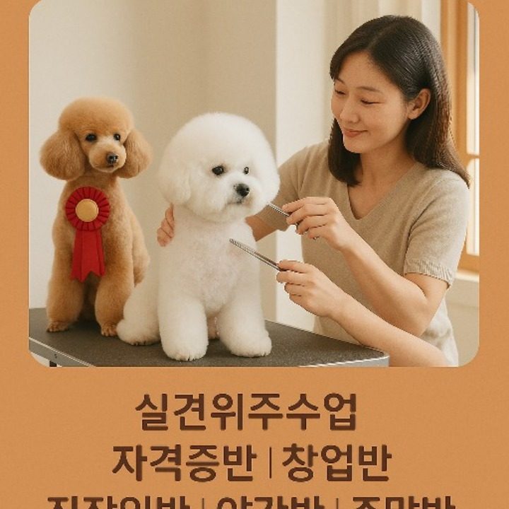 퀸애견미용학원