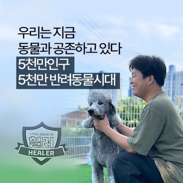 사단법인 힐러 강아지고양이 호텔