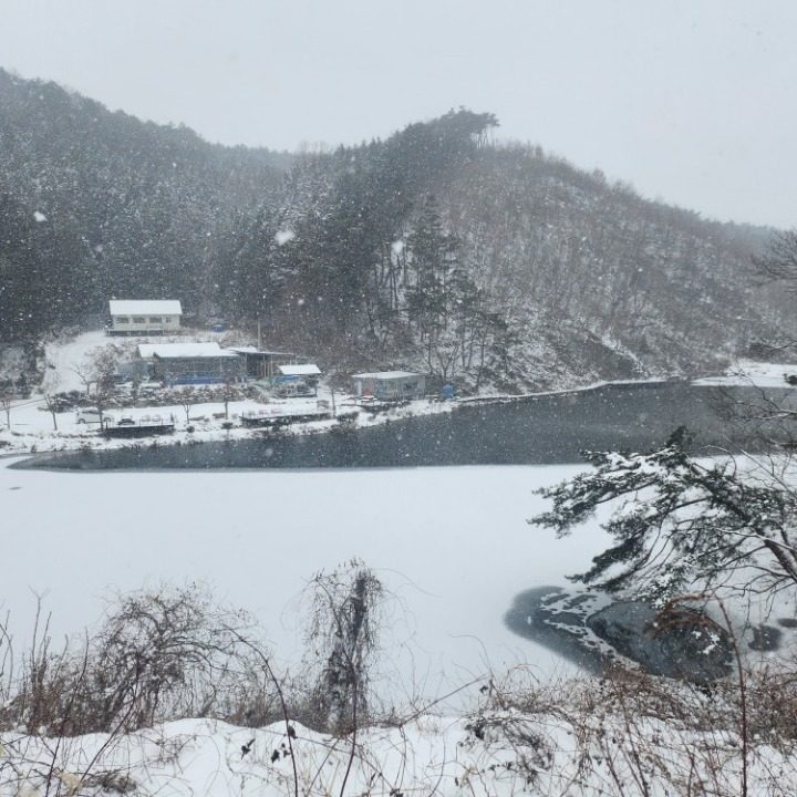 대한캠핑전라남도협회