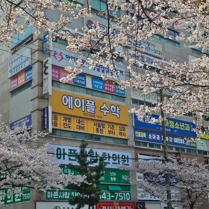 에이플수학학원