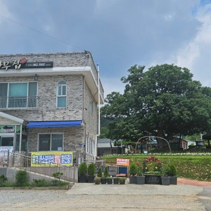 세종시 느티나무집