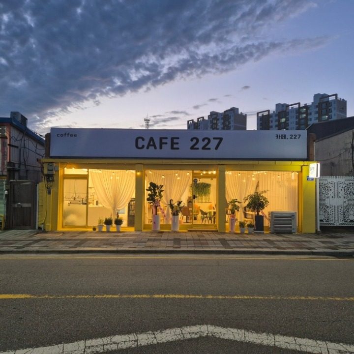 카페227