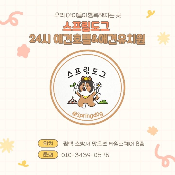 스프링도그 24시 애견호텔&애견유치원