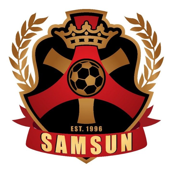 서울삼선FC