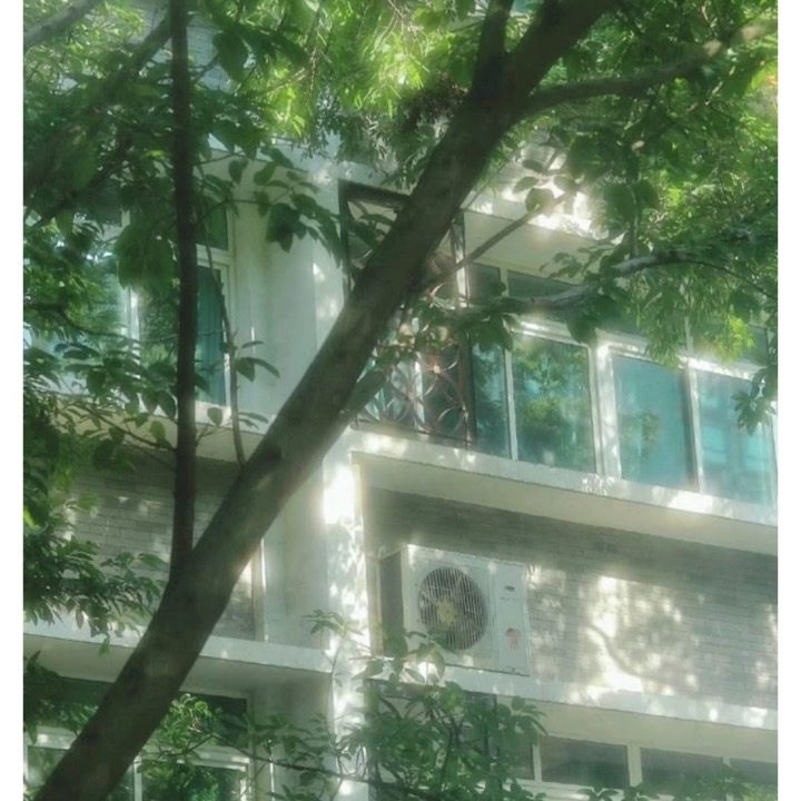 아이디헤어 아산탕정 인턴 연아