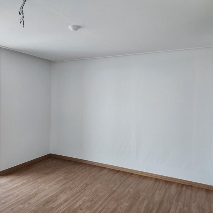 도배장인
