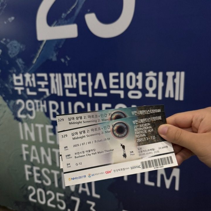 슈타인 영화 큐레이션
